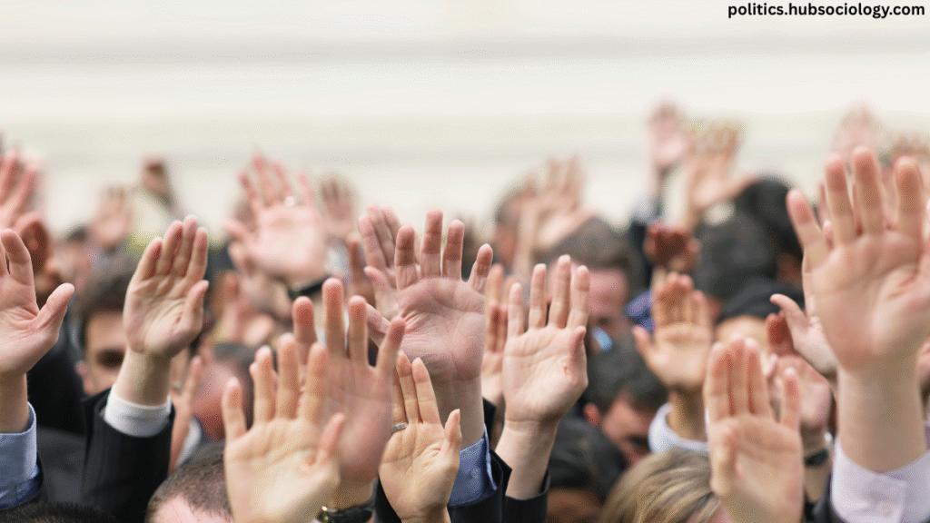 How Do Elections Work in a Democracy? Explained with Examples